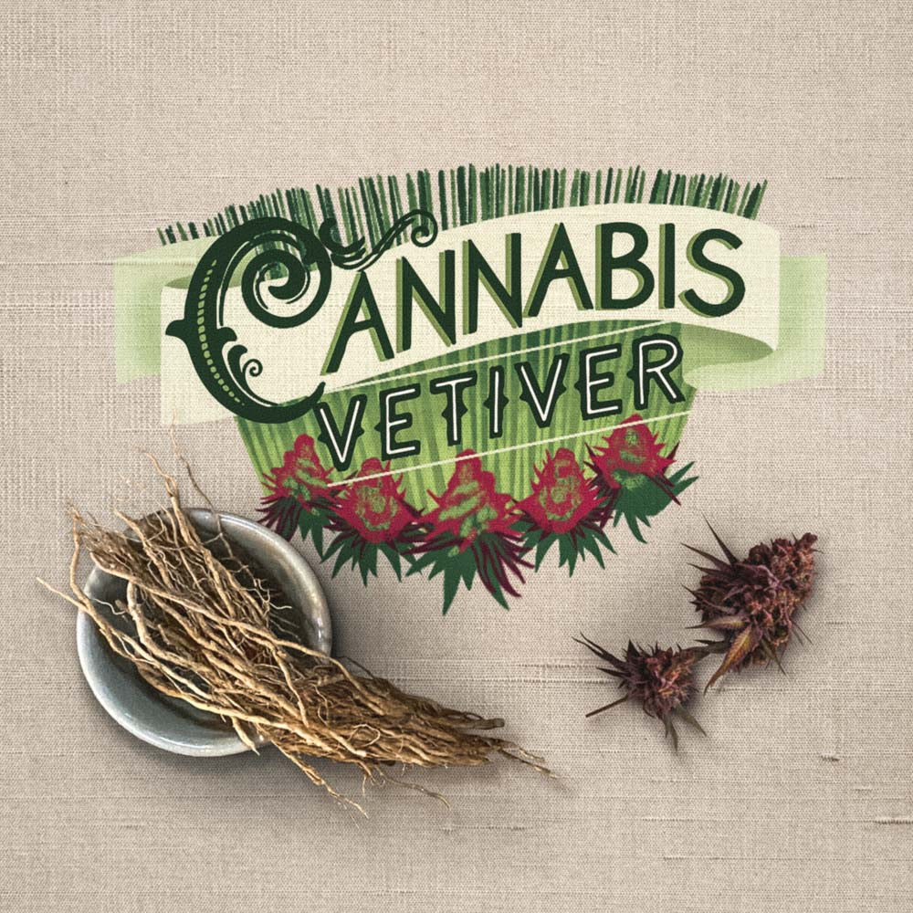 Cannabis Vetiver