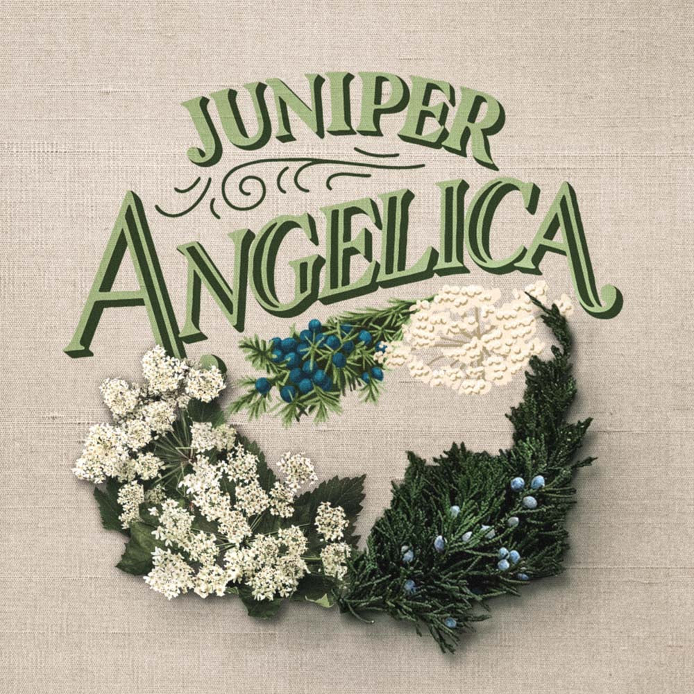 Juniper Angelica
