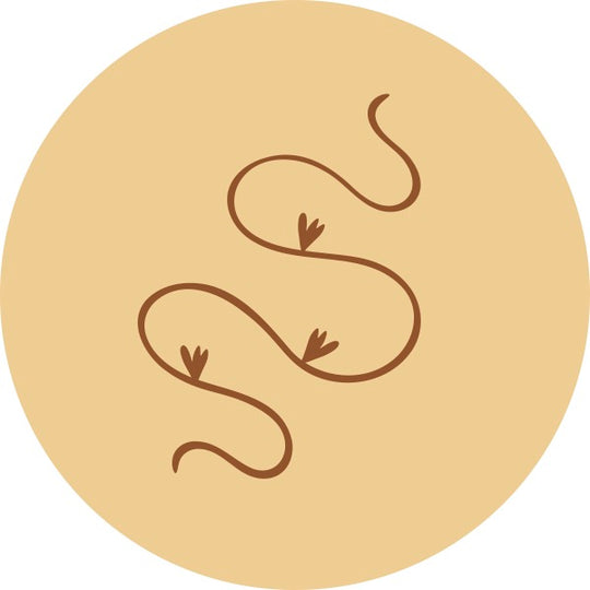 Del Sur Calamansi Chamomile