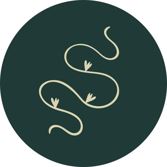 Del Sur Pandan Rhubarb