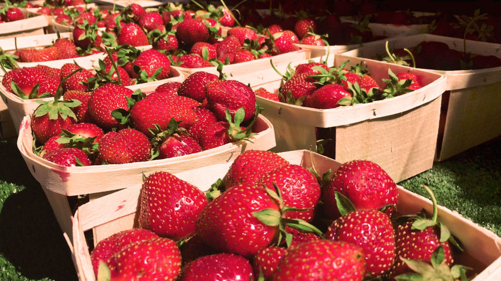 Andersonville Farmers Market June 2018