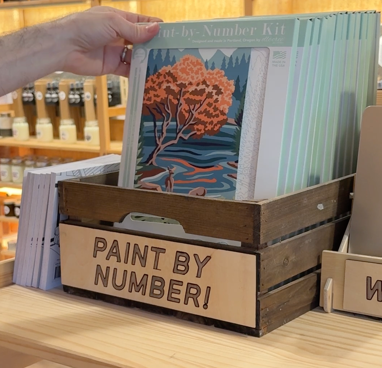 Paint By Number Kits - In Store