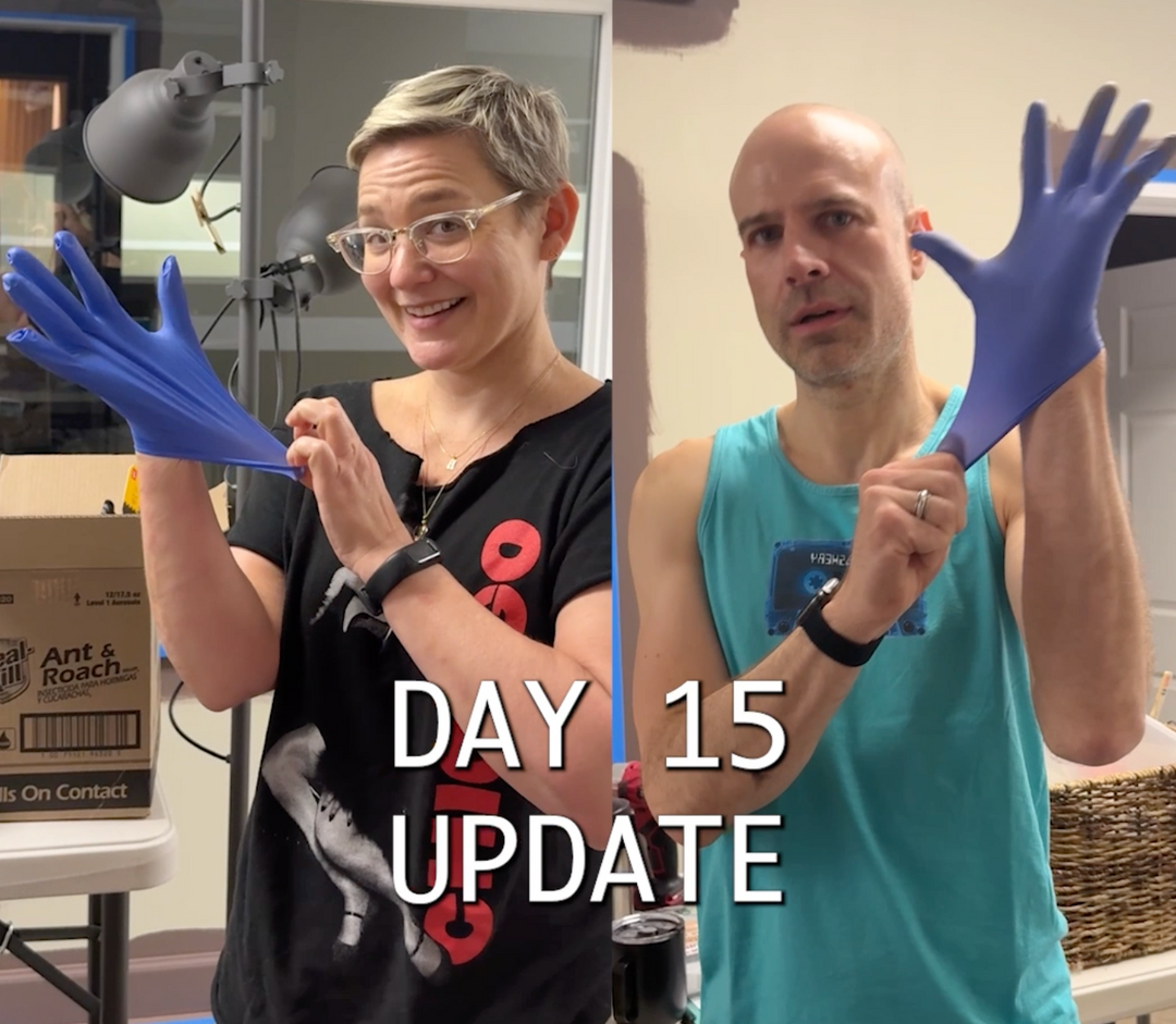 Expansion Day 15