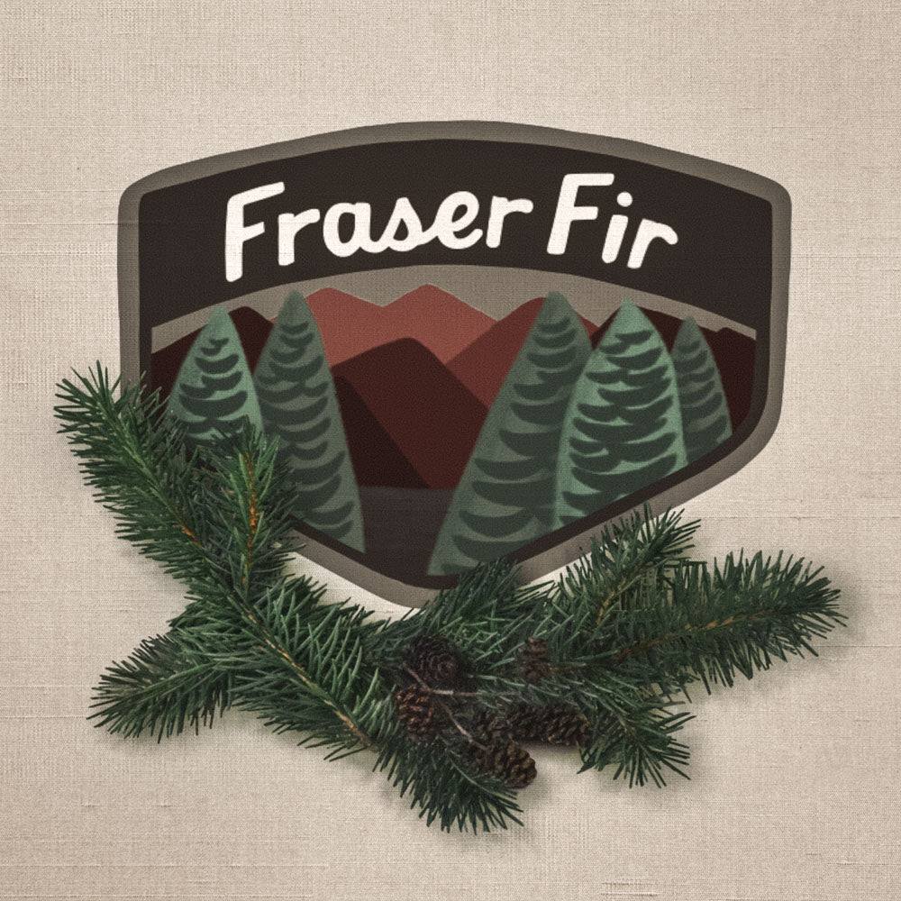 Fraser Fir