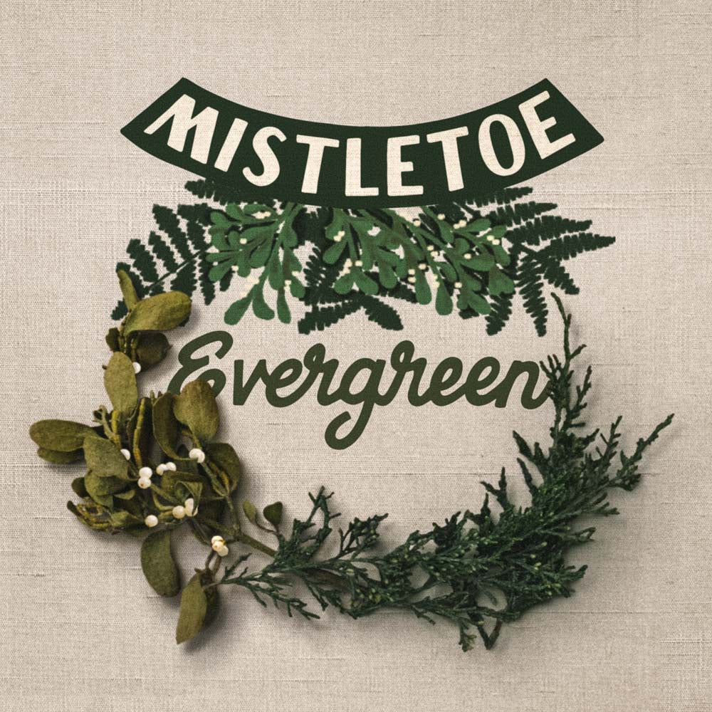 Mistletoe Evergreen