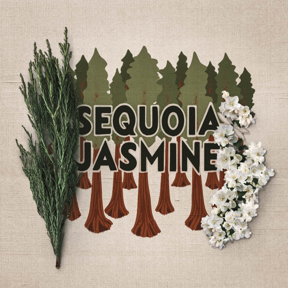 Sequoia Jasmine