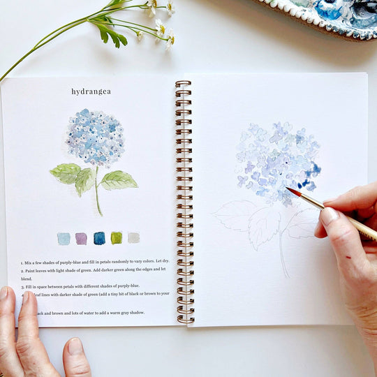 Watercolor Workbook Flowers
