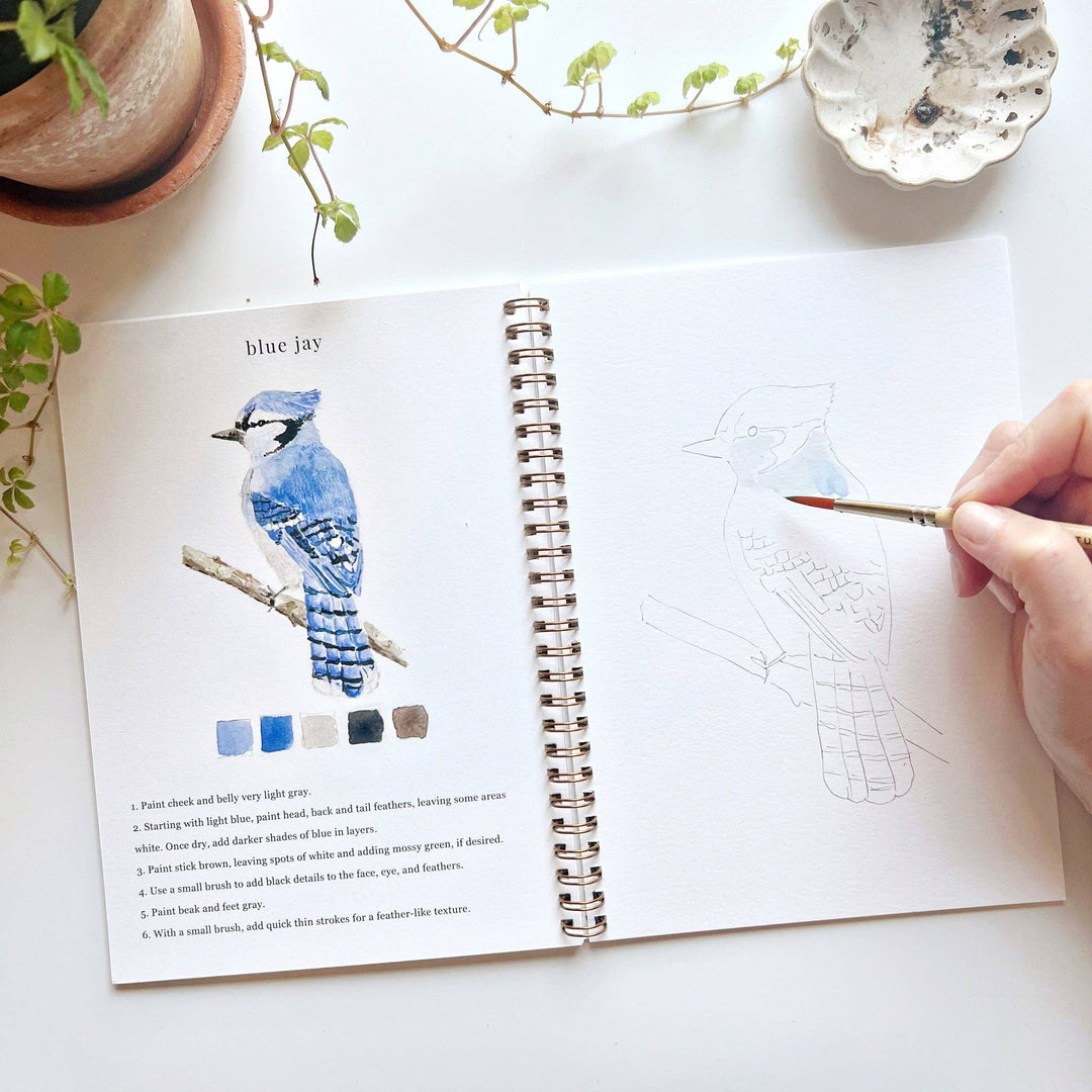 Watercolor Workbook Birds