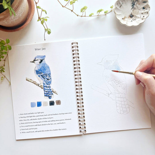 Watercolor Workbook Birds