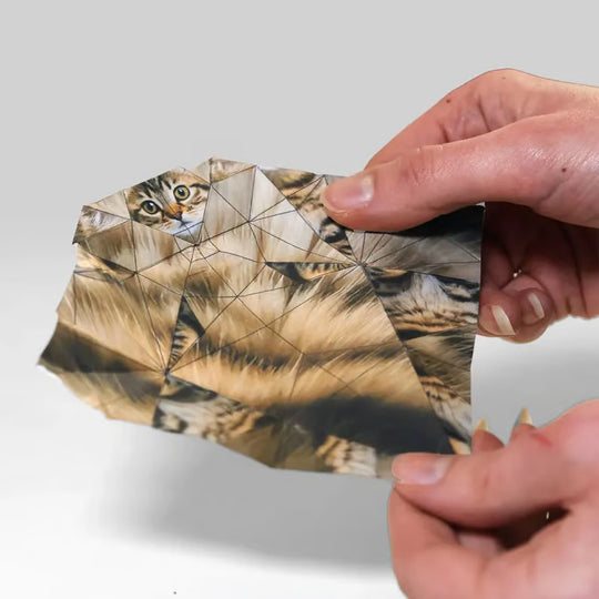 Paper Cats