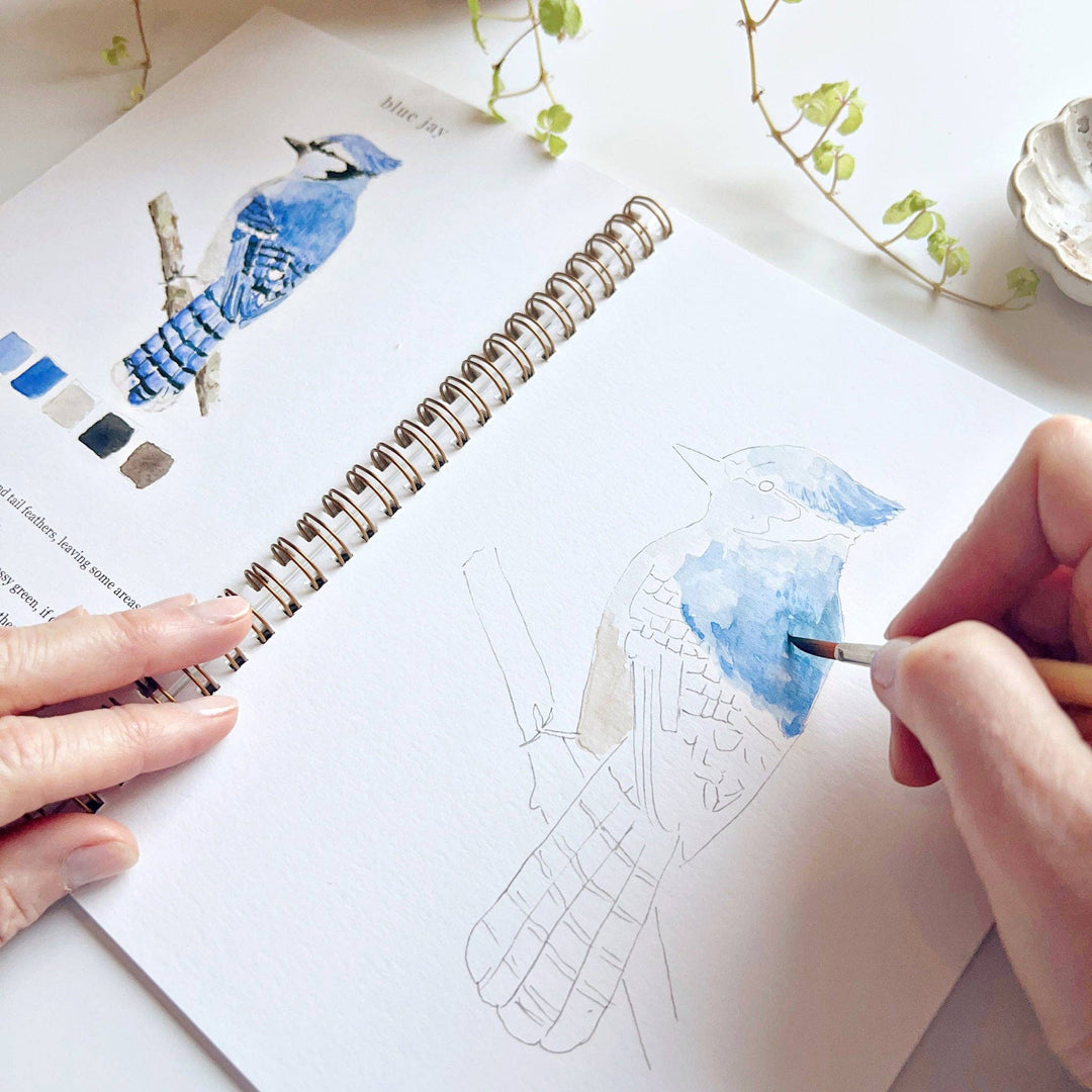 Watercolor Workbook Birds