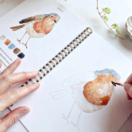 Watercolor Workbook Birds