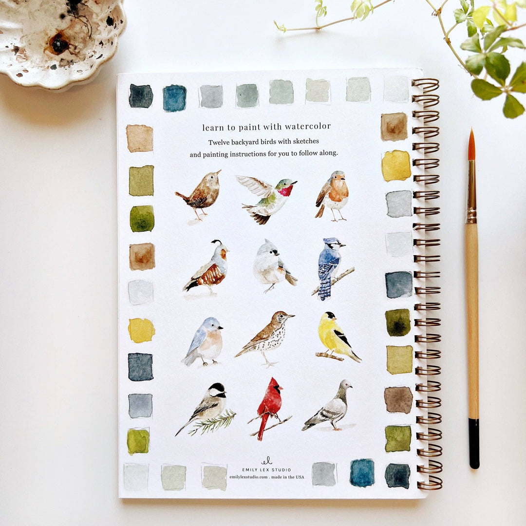 Watercolor Workbook Birds