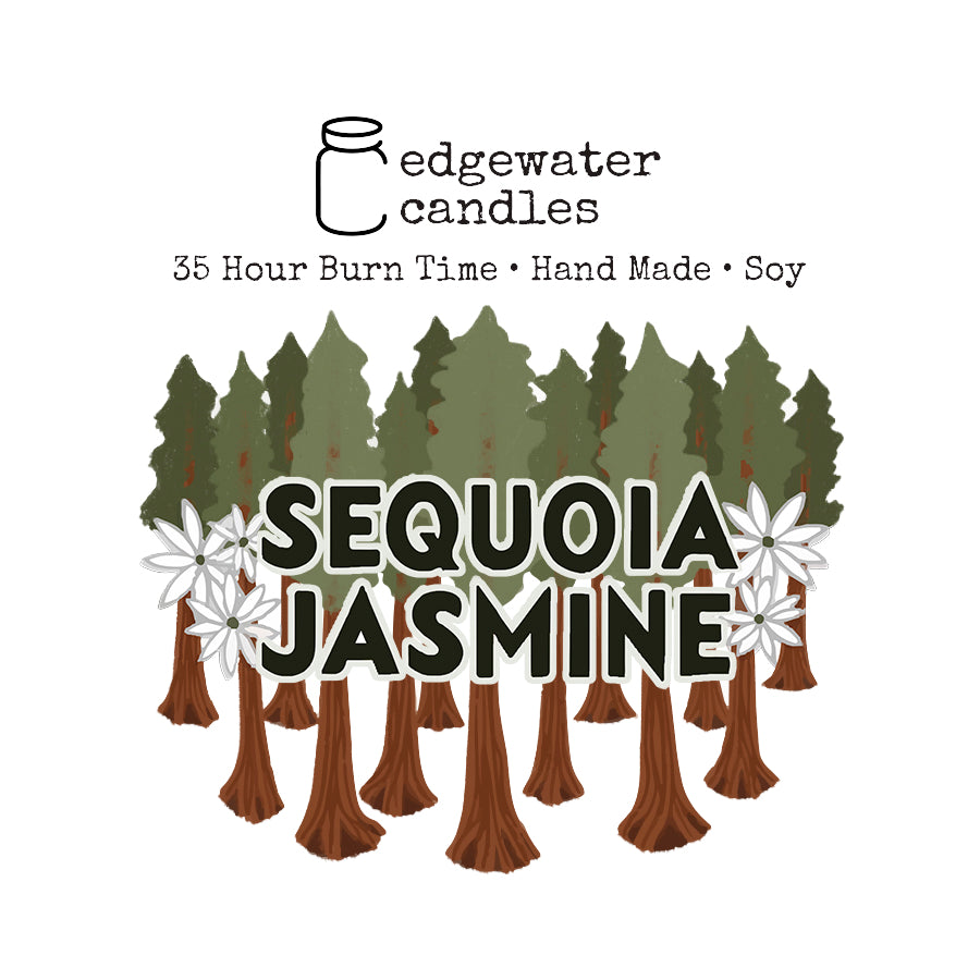 Travel Tin - Sequoia Jasmine